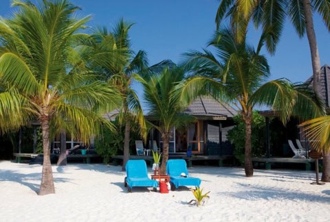 Strandvilla mit Liegen im Schatten von Palmen.