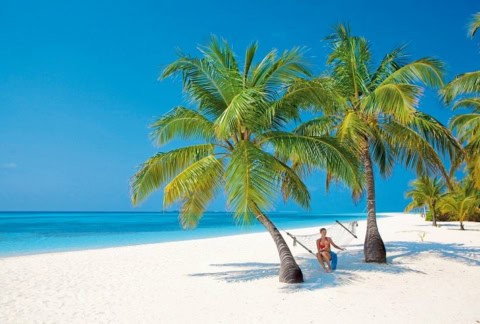 Weißer Sandstrand mit Hängematte zwischen Palmen.