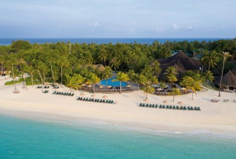 Strandbereich mit Pool und Palmen im Kuredu Island Resort.