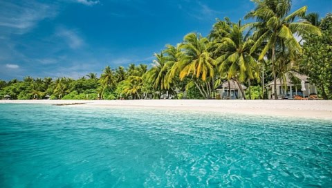 Strand mit Palmen