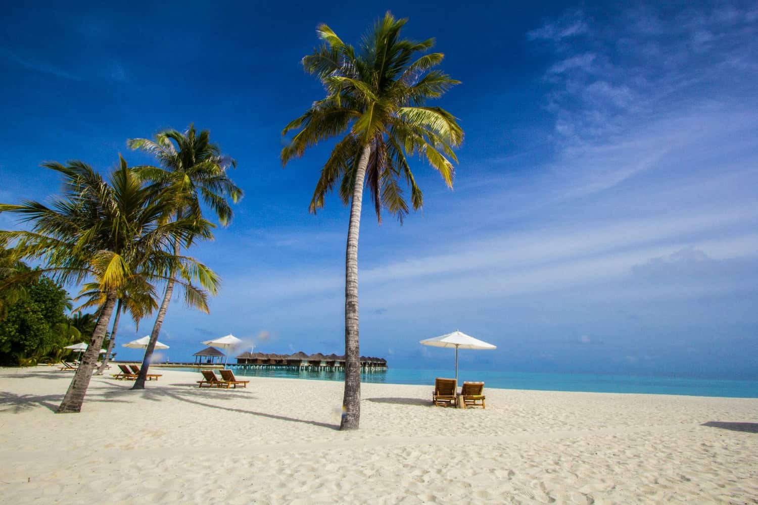 Weißer Sandstrand auf den Malediven mit Palmen, Liegen und Blick auf ruhiges, türkisblaues Meer