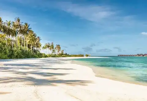 Palmengesäumter Sandstrand mit flachem, klarem Wasser im Sun Siyam Olhuveli.